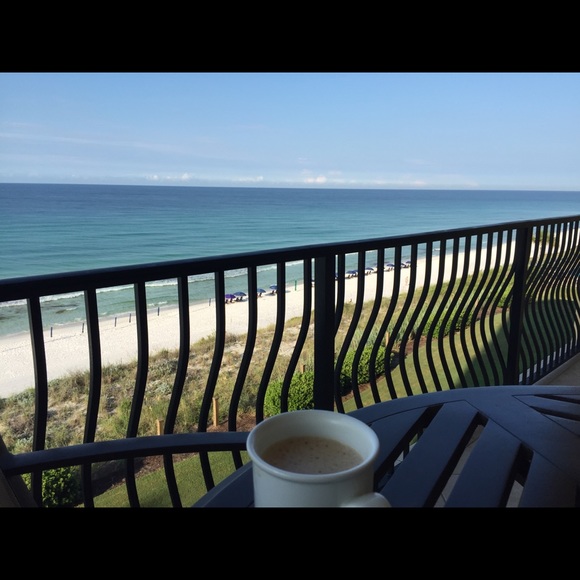 Meet your Posher, Zane - Picture 4 of 4